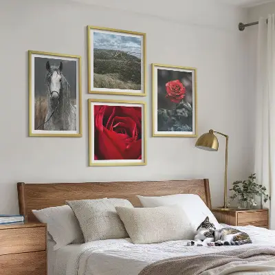 Moderní sada obrazů červené růže na šedém koňském pozadí