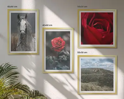 Moderní sada obrazů červené růže na šedém koňském pozadí