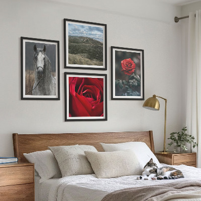 Moderní sada obrazů Červené růže koňské šedé pozadí