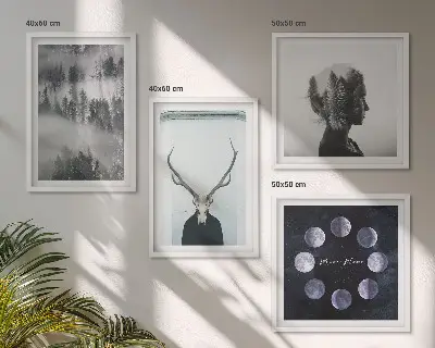 Moderní sada obrazů lesní mlha s motivem měsíce, lebky a ženy