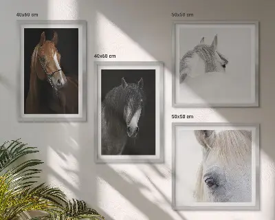 Dekorativní sada obrazů portréty koní v odstínech