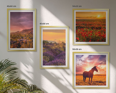 Dekorativní sada obrazů Horská krajina koně levandule