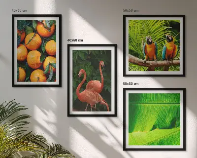 Dekorativní sada obrazů ovocné akcenty tropů