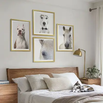 Dekorativní sada obrazů elegantní portréty psů a koní