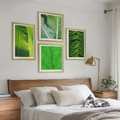 Dekorativní sada obrazů detail tropických listů