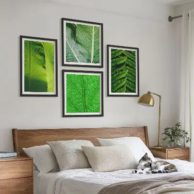 Dekorativní sada obrazů detail tropických listů