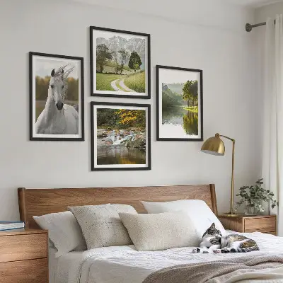 Moderní sada obrazů bílí koně v říční přírodě