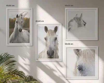 Dekorativní sada obrazů bílí koně