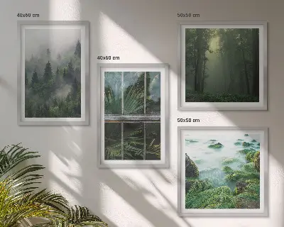 Moderní sada obrazů lesní mlha, řeka a skleníkové rostliny