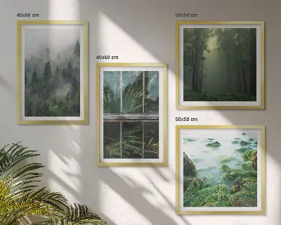 Moderní sada obrazů lesní mlha, řeka a skleníkové rostliny