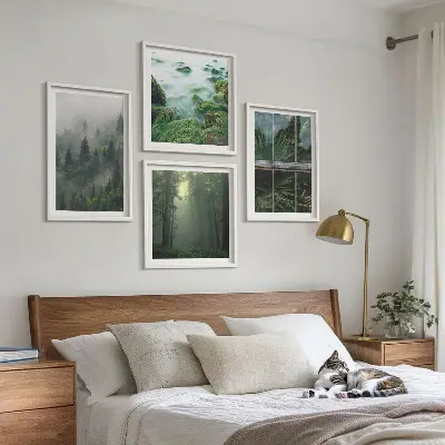 Moderní sada obrazů lesní mlha, řeka a skleníkové rostliny