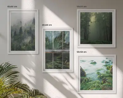 Moderní sada obrazů lesní mlha, řeka a skleníkové rostliny