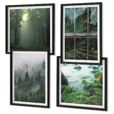 Moderní sada obrazů lesní mlha, řeka a skleníkové rostliny