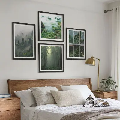 Moderní sada obrazů lesní mlha, řeka a skleníkové rostliny