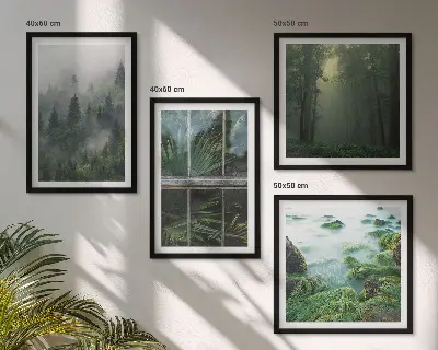 Moderní sada obrazů lesní mlha, řeka a skleníkové rostliny