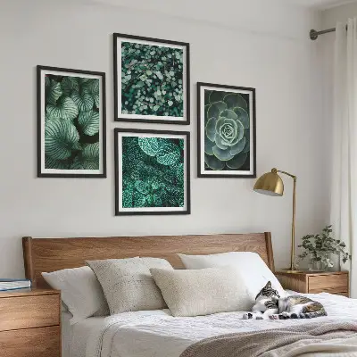 Sada obrazů Zelené listy sukulentů moderní provedení