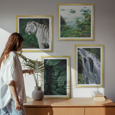 Moderní sada obrazů Listy vodopádu Bílého tygra