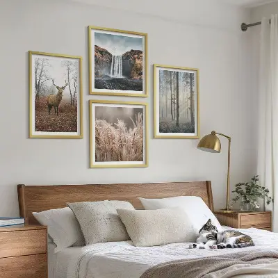 Sada obrazů Lesní krajiny moderní pojetí divoké přírody