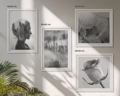 Moderní sada obrazů portrét ženy v lesní mlze