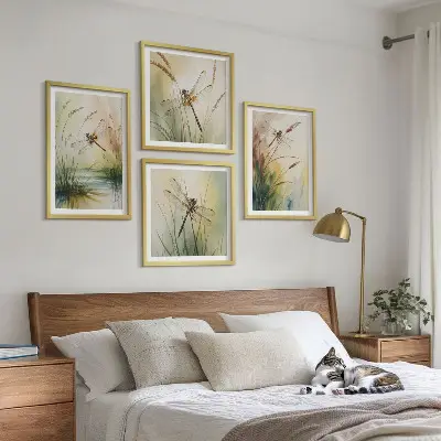 Moderní sada obrazů vážky a trávy v akvarelovém stylu