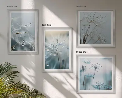 Sada obrazů Kapky rosy na pampeliškách moderní provedení