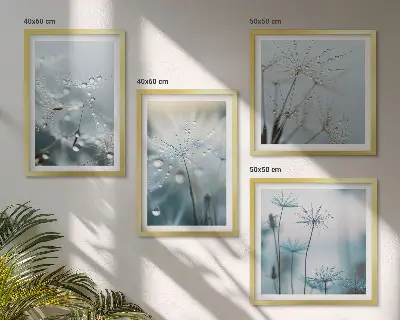 Sada obrazů Kapky rosy na pampeliškách moderní provedení