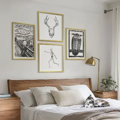 Sada obrazů moderní inspirace lebka se sovou