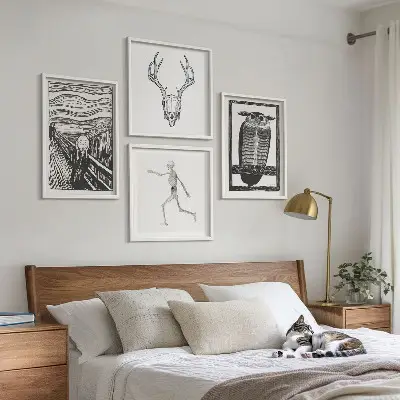 Sada obrazů moderní inspirace lebka se sovou