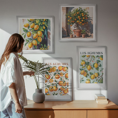 Moderní sada obrazů Ovocné citrusové vzory