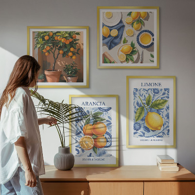 Moderní sada obrazů Ilustrace citrusových plodů