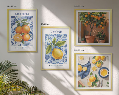 Moderní sada obrazů Ilustrace citrusových plodů