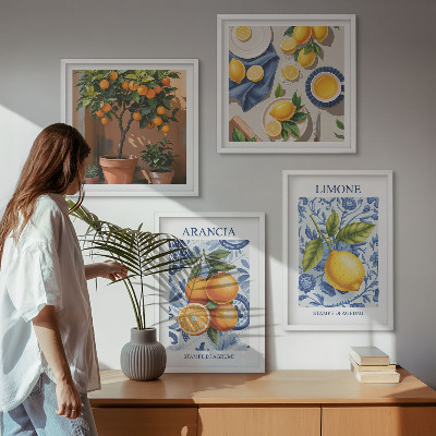 Moderní sada obrazů Ilustrace citrusových plodů