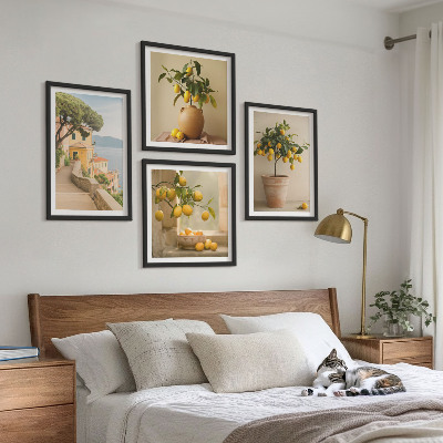 Moderní sada obrazů Citroníky v květináčích