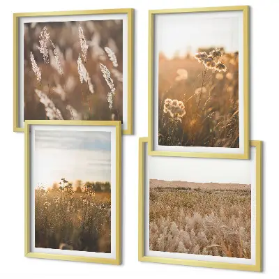 Moderní sada obrazů letní louky s květinami při západu slunce