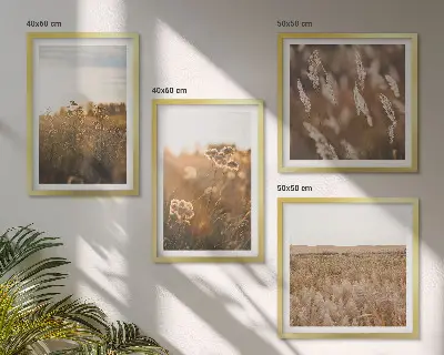 Moderní sada obrazů letní louky s květinami při západu slunce