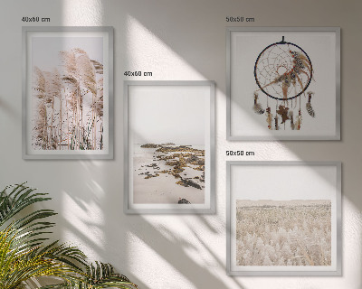 Moderní sada obrazů Plážová travnatá pole v boho stylu