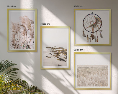 Moderní sada obrazů Plážová travnatá pole v boho stylu