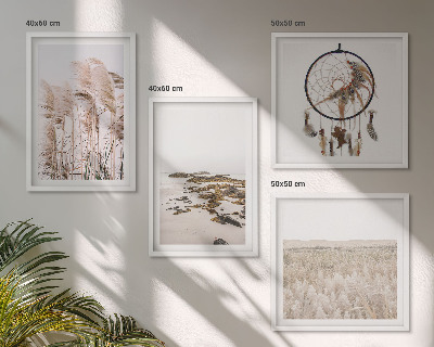 Moderní sada obrazů Plážová travnatá pole v boho stylu