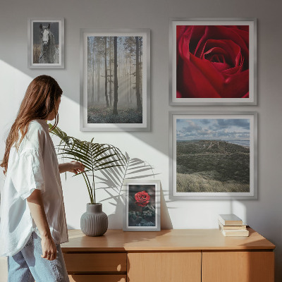 Poliptyk v rámu Přírodní květiny různých stylů
