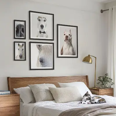 Sada obrazů do ložnice moderní portréty zvířat