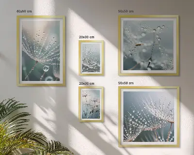 Minimalistické rostliny Dewdrops poliptyk v rámu