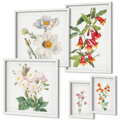Sada obrazů do ložnice Květinové botanické ilustrace