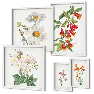 Květinové botanické ilustrace sada obrazů do ložnice