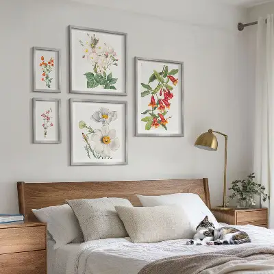 Květinové botanické ilustrace sada obrazů do ložnice