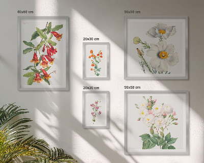 Sada obrazů do ložnice Květinové botanické ilustrace