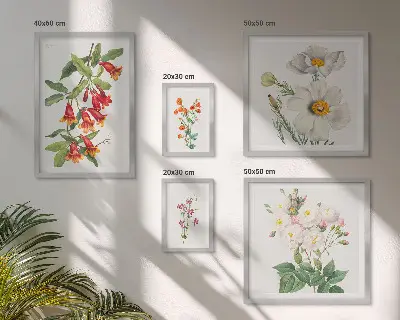 Květinové botanické ilustrace sada obrazů do ložnice