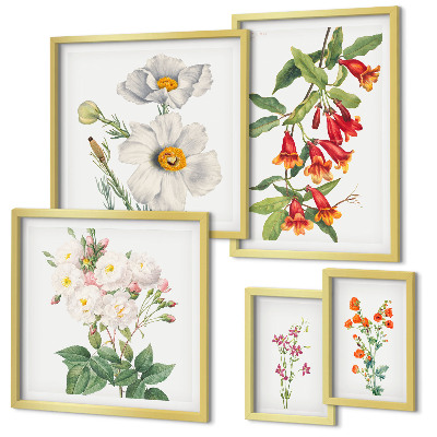Sada obrazů do ložnice Květinové botanické ilustrace