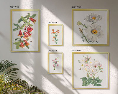 Sada obrazů do ložnice Květinové botanické ilustrace