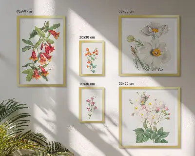 Květinové botanické ilustrace sada obrazů do ložnice