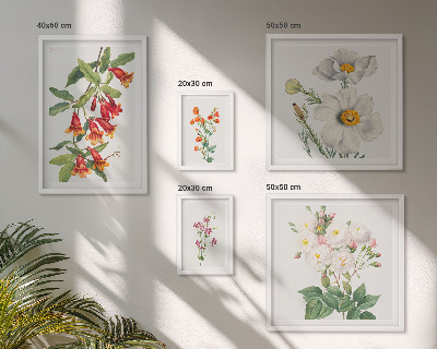 Sada obrazů do ložnice Květinové botanické ilustrace
